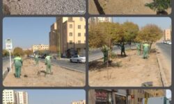 کاشت بیش از 900 درختچه در محله فجر فولادشهر