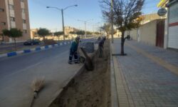 بهسازی محدوده فضای سبز بلوار سهروردی گلپایگان