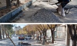 ادامه عملیات جدولگذاری در بلوار مدرس شهرضا