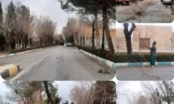آغاز عملیات هرس درختان در شهر کوهپایه