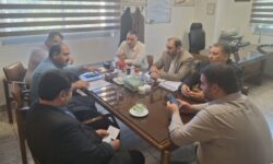 برگزاری جلسه بررسی مشکلات روشنایی معابر و جابجایی شبکههای برق